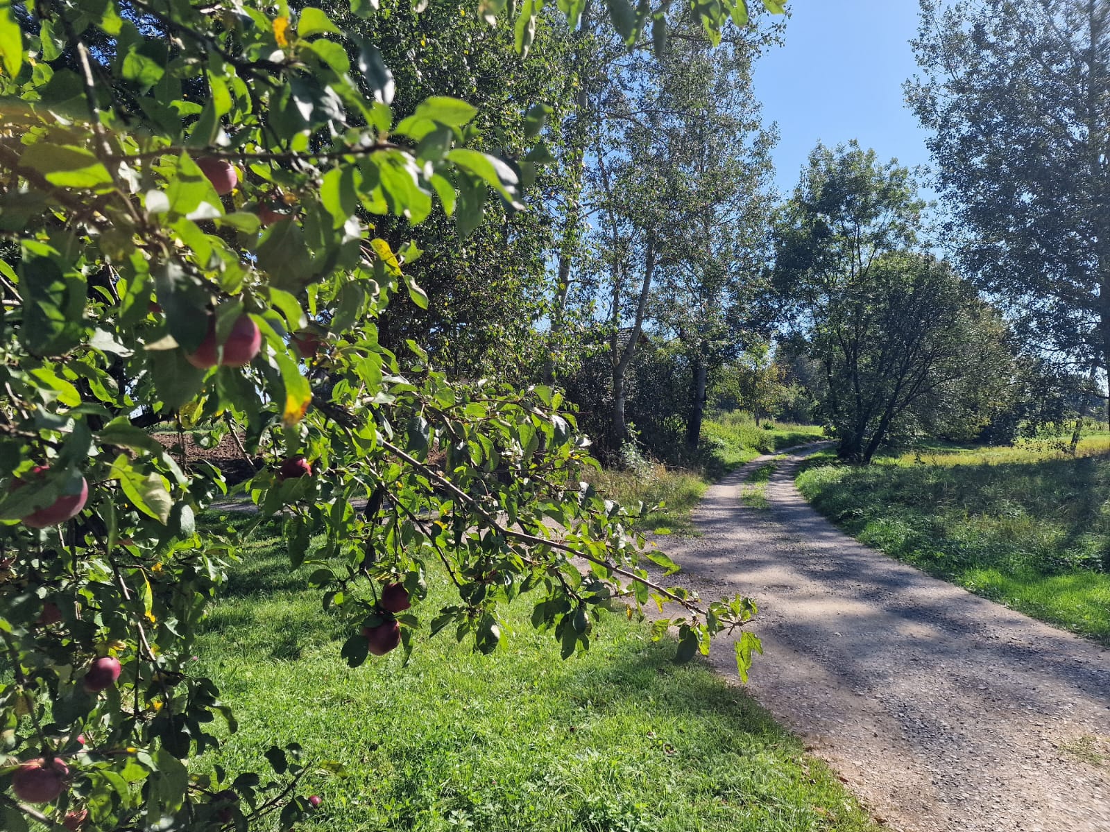 Wiejski dom w malowniczym otoczeniu - zdjęcie 1076