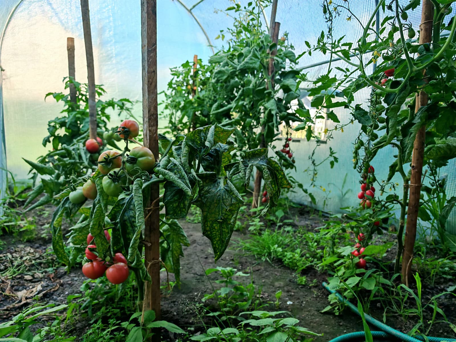 Klimatyczny dom z całorocznym basenem i dużą działką - zdjęcie 106